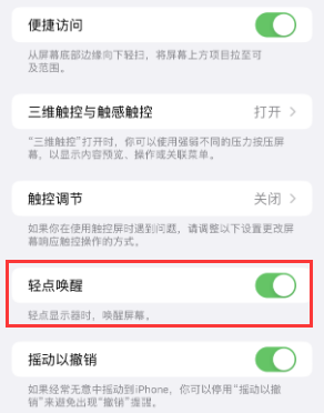 新津苹果授权维修站分享iPhone轻点无法唤醒怎么办 