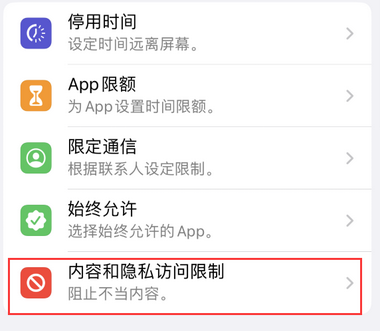 新津appleID维修服务iPhone设置中Apple ID显示为灰色无法使用