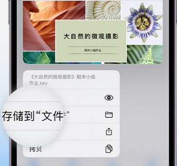 新津apple维修中心分享iPhone文件应用中存储和找到下载文件