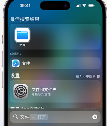 新津apple维修中心分享iPhone文件应用中存储和找到下载文件 