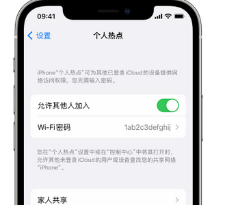 新津apple服务站点分享iPhone上个人热点丢失了怎么办 