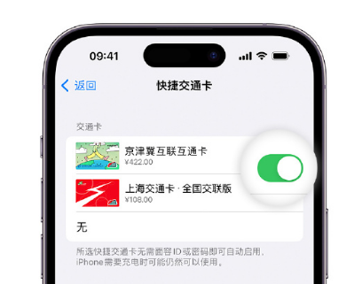 新津apple维修点分享iPhone上更换Apple Pay快捷交通卡手绘卡面 