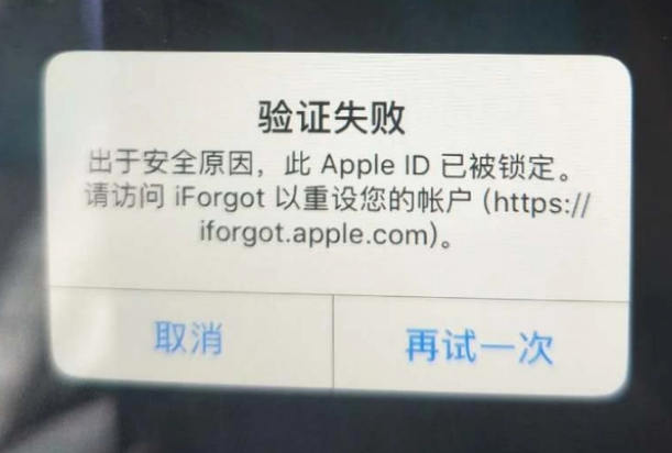 新津iPhone维修分享iPhone上正常登录或使用AppleID怎么办 