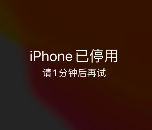 新津苹果手机维修分享:iPhone 显示“不可用”或“已停用”怎么办？还能保留数据吗？ 