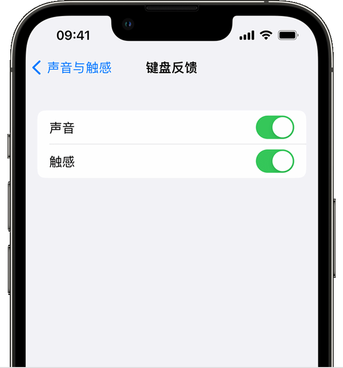 新津苹果14维修店分享如何在 iPhone 14 机型中使用触感键盘 