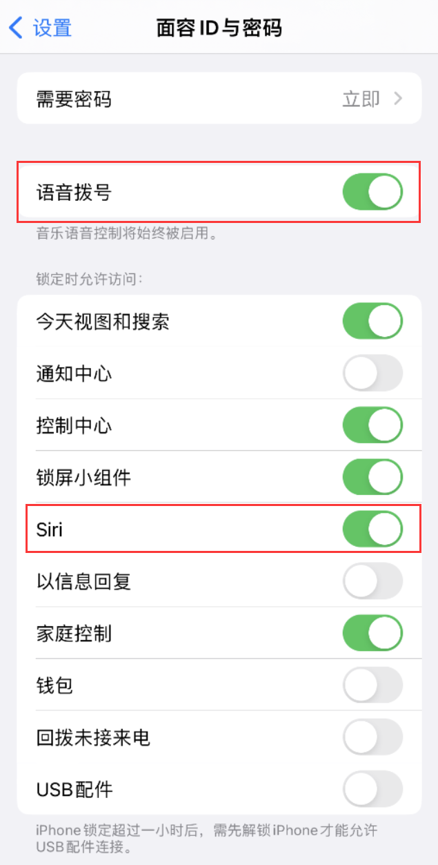 新津苹果维修网点分享不解锁 iPhone 的情况下通过 Siri 拨打电话的方法 