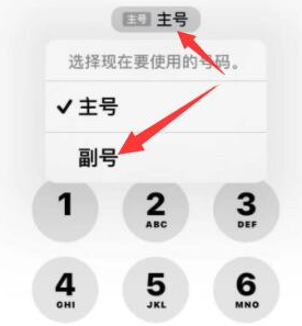 新津苹果14维修店分享iPhone 14 Pro Max使用副卡打电话的方法 