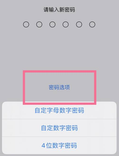 新津苹果14维修分享iPhone 14plus设置密码的方法 