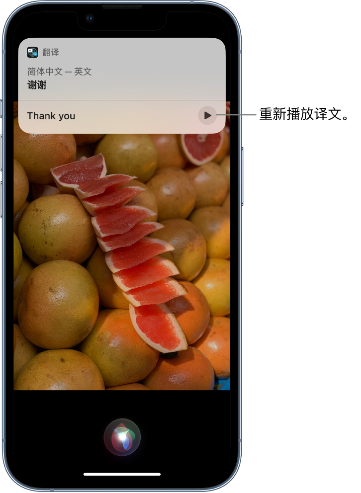 新津苹果14维修分享 iPhone 14 机型中使用 Siri：了解 Siri 能帮你做什么 