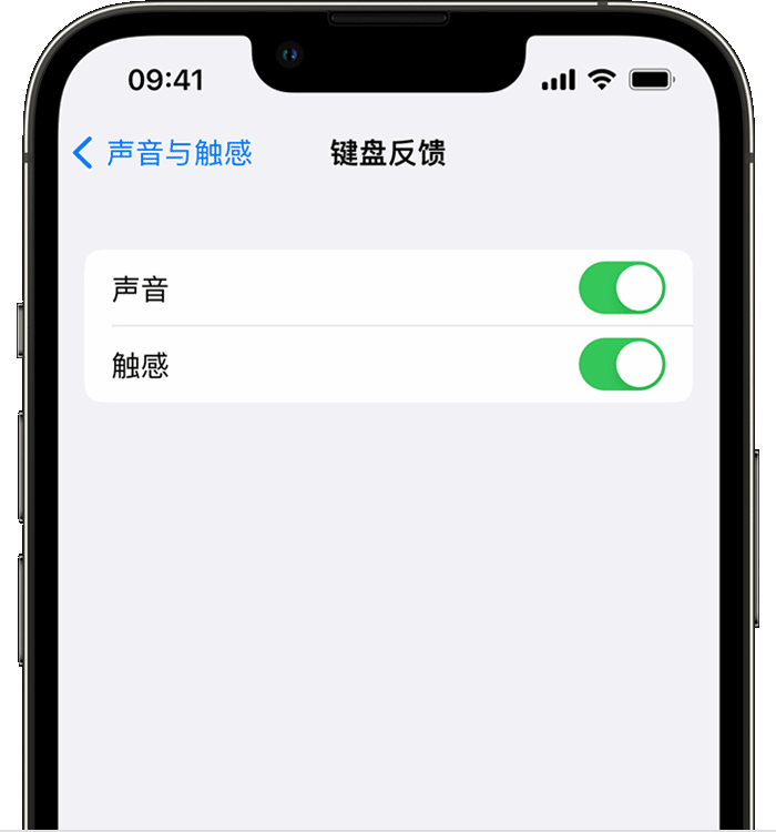 新津苹果14维修分享iPhone 14 系列机型如何开启键盘声音或触感反馈 