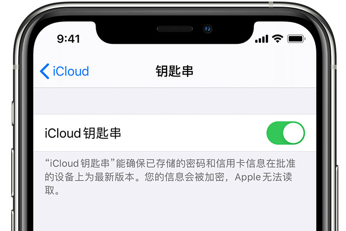 新津苹果手机维修分享在 iPhone 上开启 iCloud 钥匙串之后会储存哪些信息 