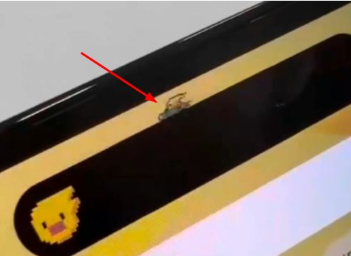 新津苹果14维修分享iPhone 14 Pro Max灵动岛怎么养宠物 