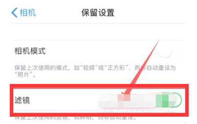 新津苹果13维修分享iPhone13拍照有绿点是怎么回事 