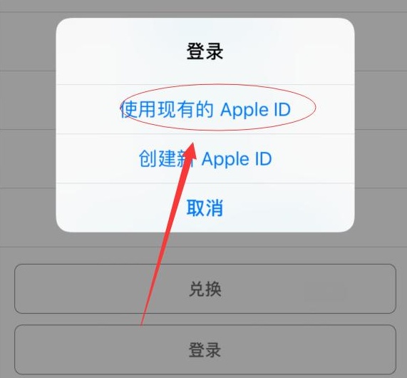 新津苹果手机维修分享两台iPhone设备可以同时登录一个Apple ID吗 