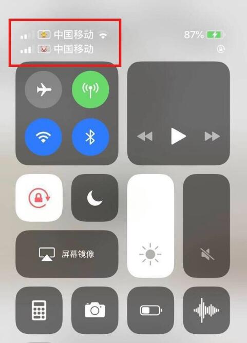 新津苹果手机维修分享为 iPhone 12 双卡设置标签 