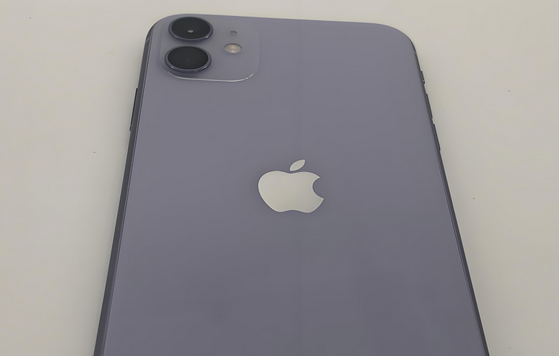 新津苹果11系统维修分享iPhone11手机系统崩溃无法开机如何解决 