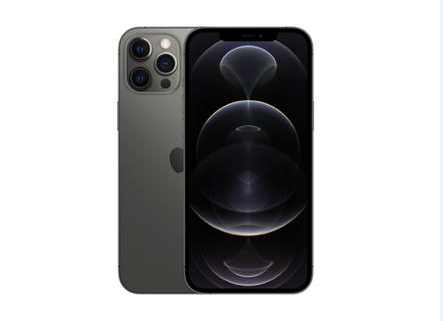 新津苹果维修点分享iPhone 12 Pro Max锁屏密码底层科普 